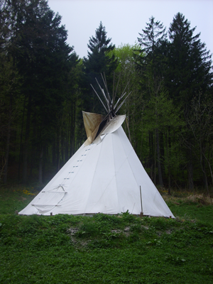 1000kraut_tipi_sommer.png