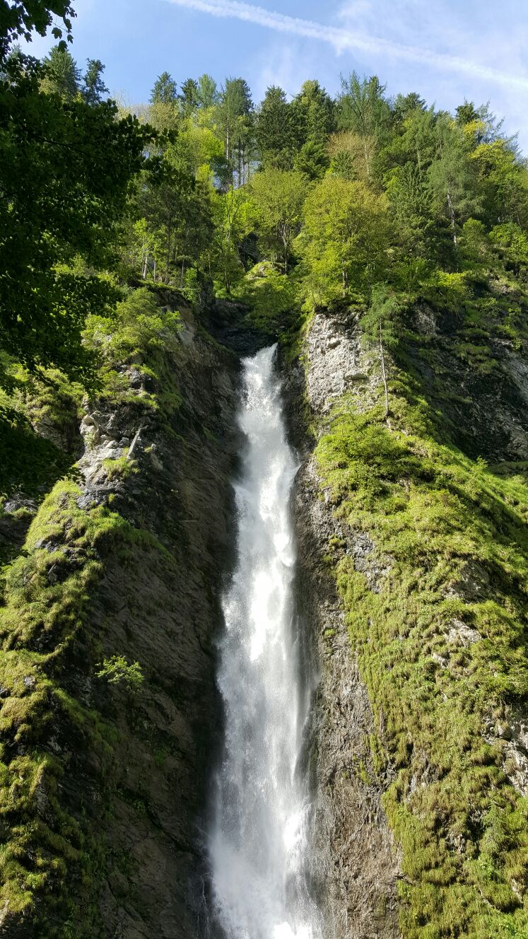 Das Wasser- Der Ursprung allen Seins