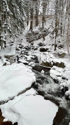 Winterretreat – Die Kraft der Natur @ 1000Krauthof