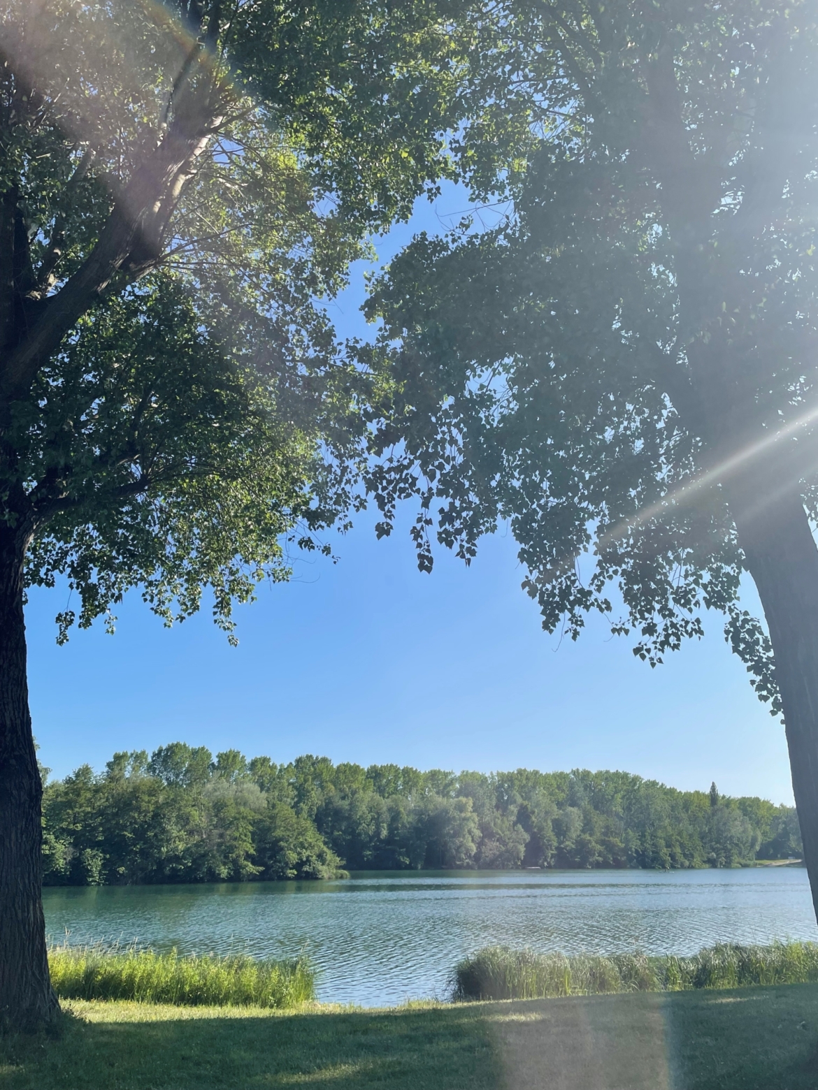 FNL Kräutertreff: Kräuterspaziergang an der Donau “Schwarznuß-Schwarzpappel & Co